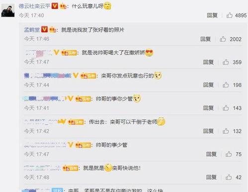 娱乐吃瓜菌评论